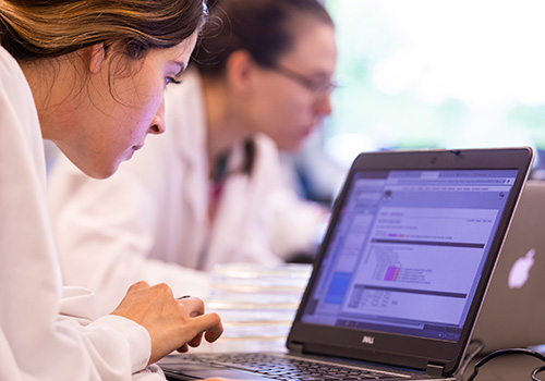 AI and Cybersecurity