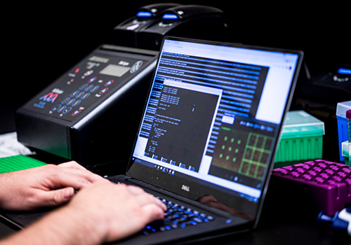 UW IT Interim Guidelines