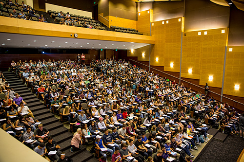 Students Degree Programs