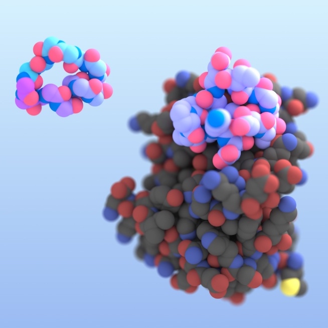 Image of RFpeptides